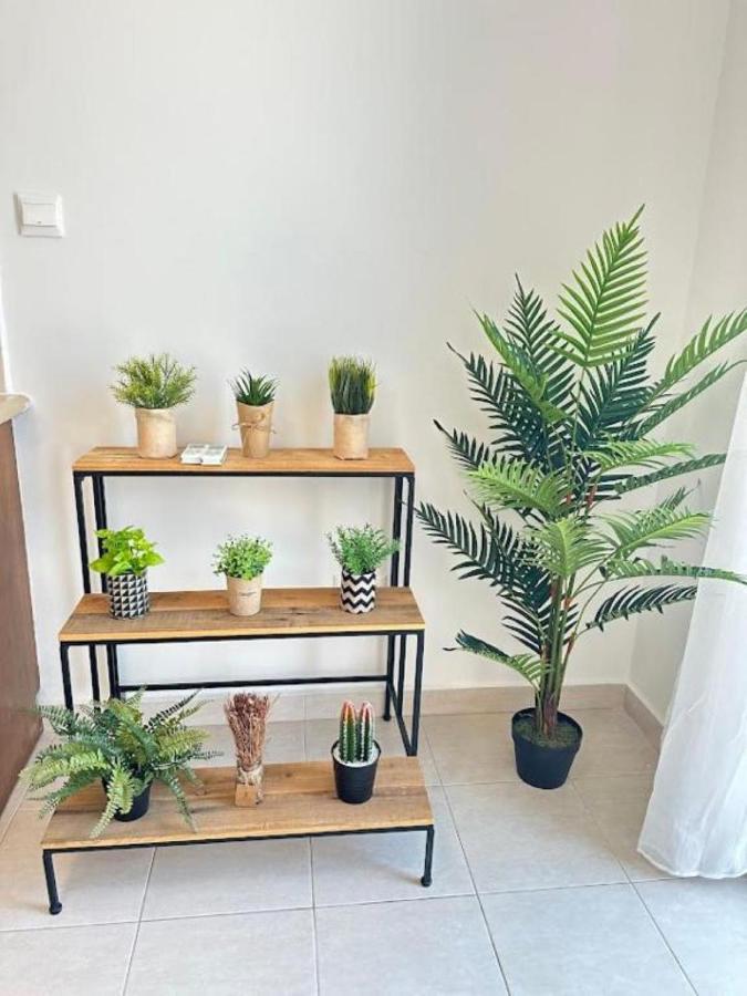 H&O Alina Sunset Apartment بافوس المظهر الخارجي الصورة